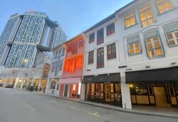 Keong Saik Road (D2), Shop House #569572341